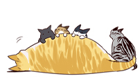 Aperçu du chapitre 100